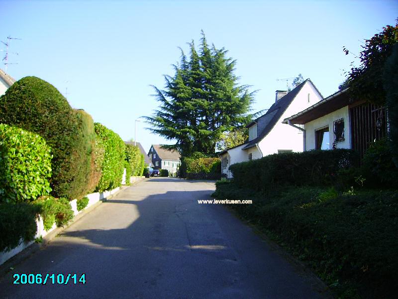 Foto der Winkelweg: Winkelweg