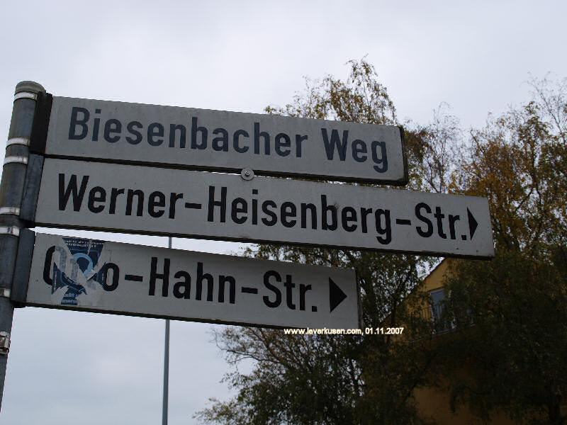 Foto der Biesenbacher Weg: Straßenschild Biesenbacher Weg