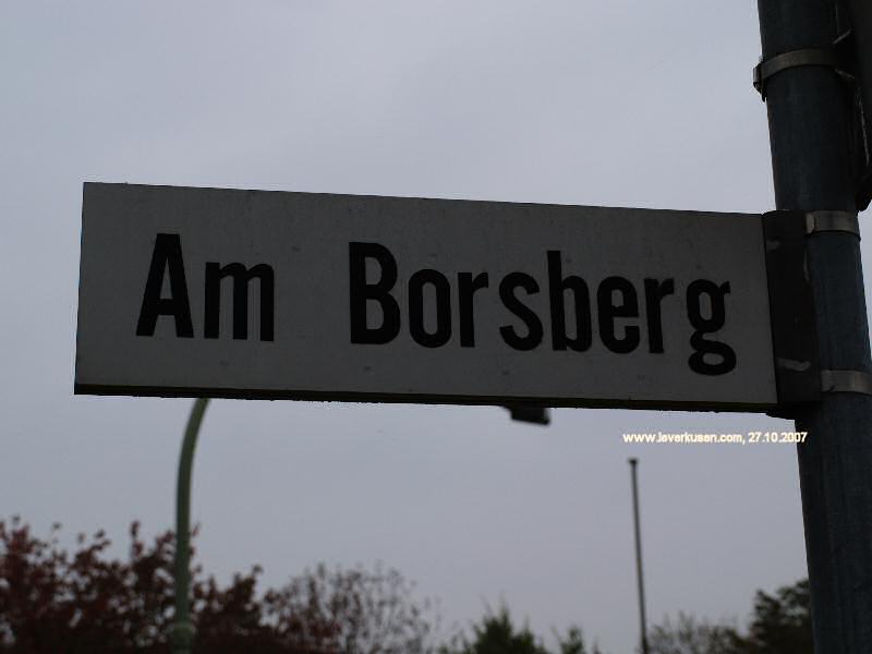 Foto der Am Borsberg: Straßenschild Am Borsberg