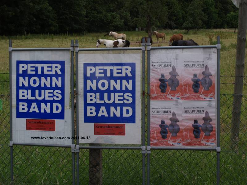 Peter Nonn Blues Band/Rosemarie Bruchhausen: Plakat