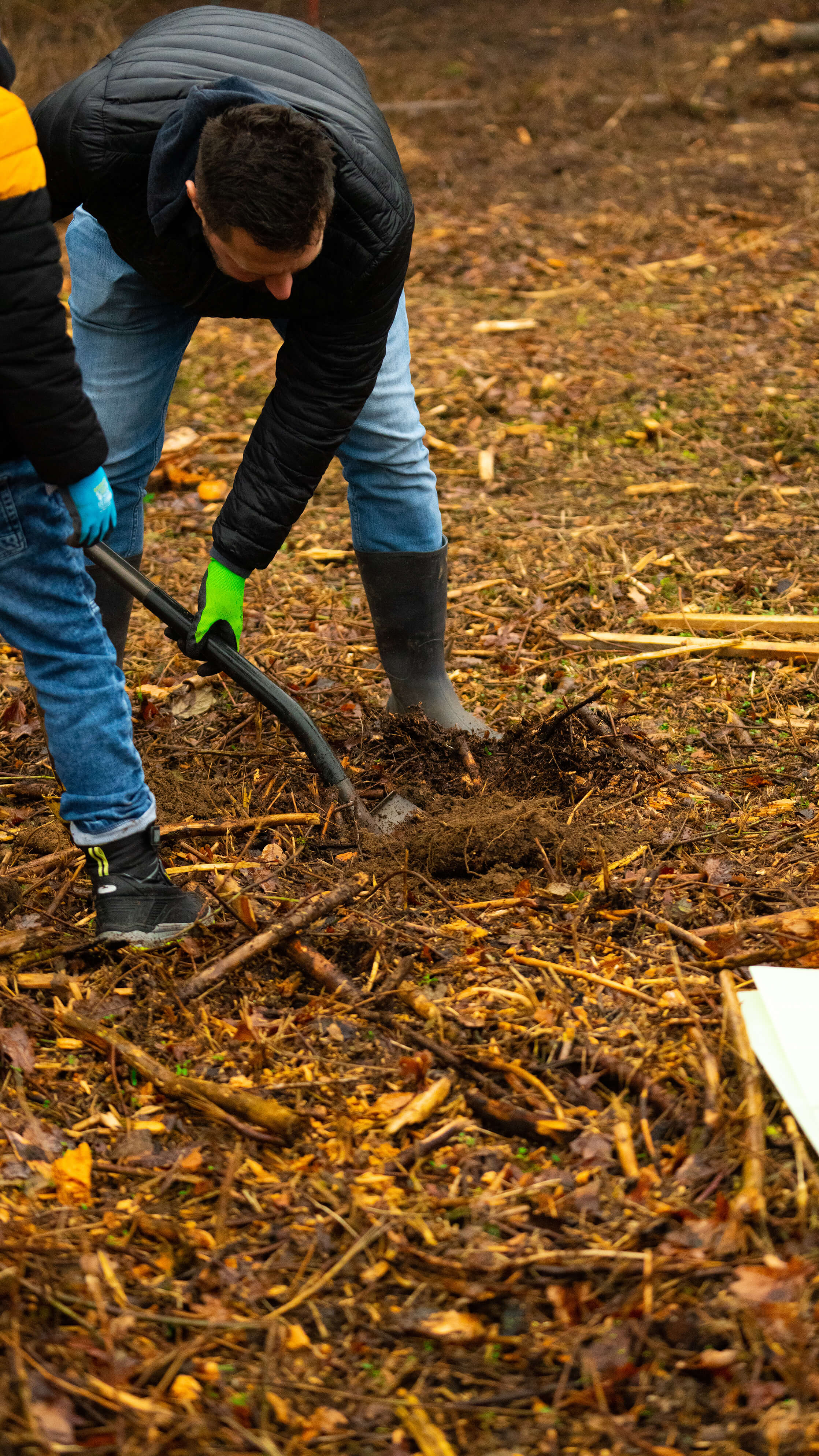 Graben in die Erde zum Einpflanzen eines Baumes // Foto: Vision Agency Group