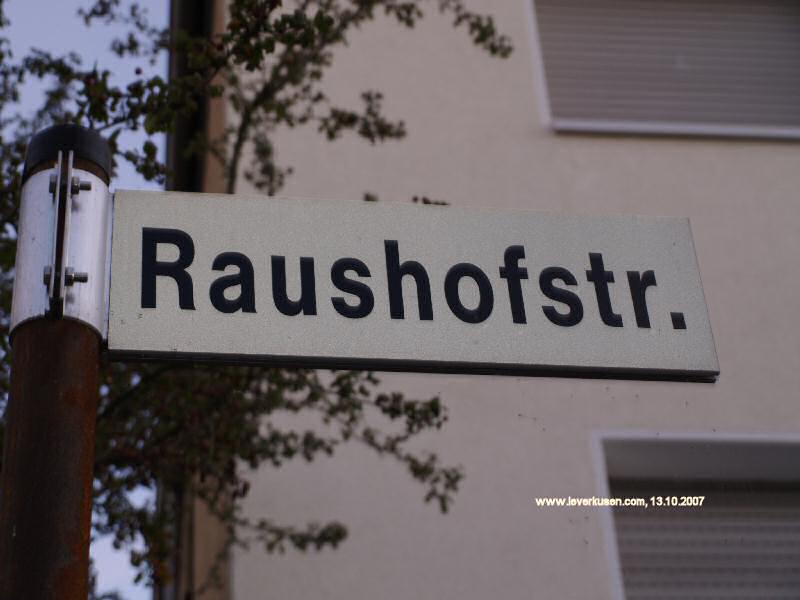 Foto der Raushofstr.: Straßenschild Raushofstr.