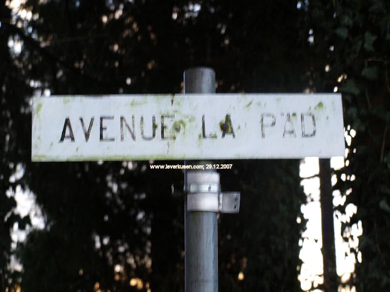 Avenue la Paed