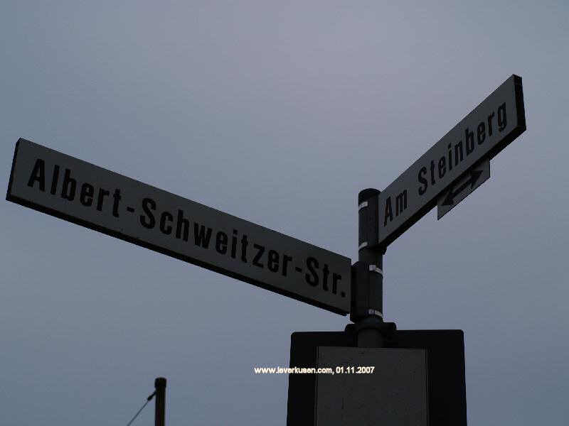 Foto der Albert-Schweitzer-Str.: Straßenschild Albert-Schweitzer-Str.