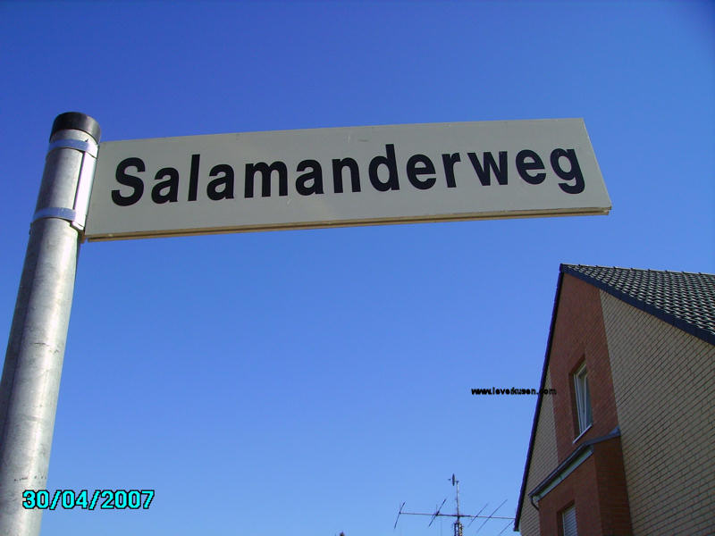 Straßenschild Salamanderweg