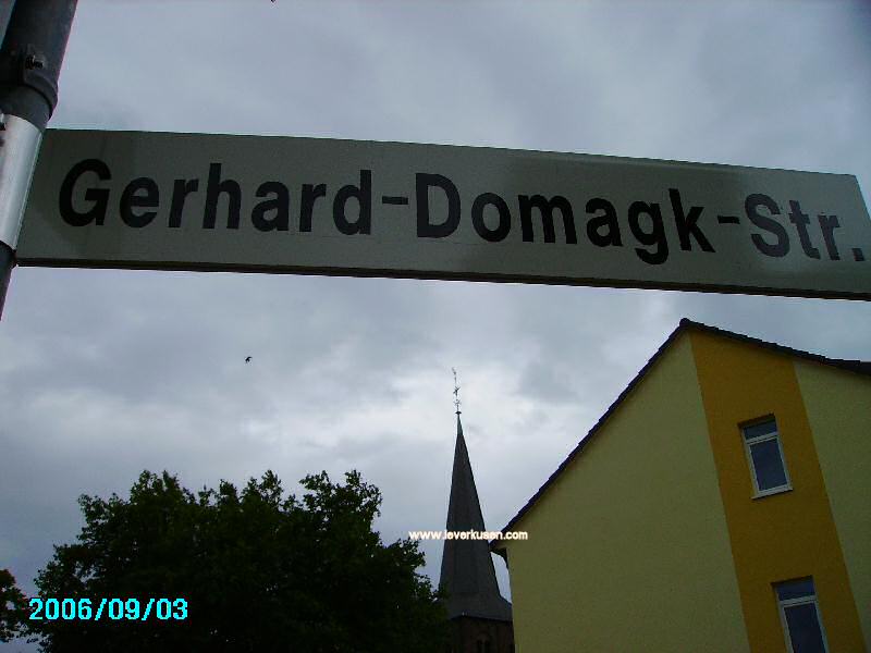 Foto der Gerhard-Domagk-Str.: Straßenschild Gerhard-Domagk-Straße