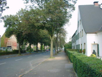 Neuenhof (22 k)