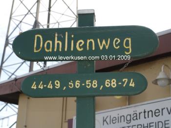 Dahlienweg (20 k)