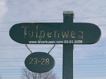 Tulpenweg (19 k)