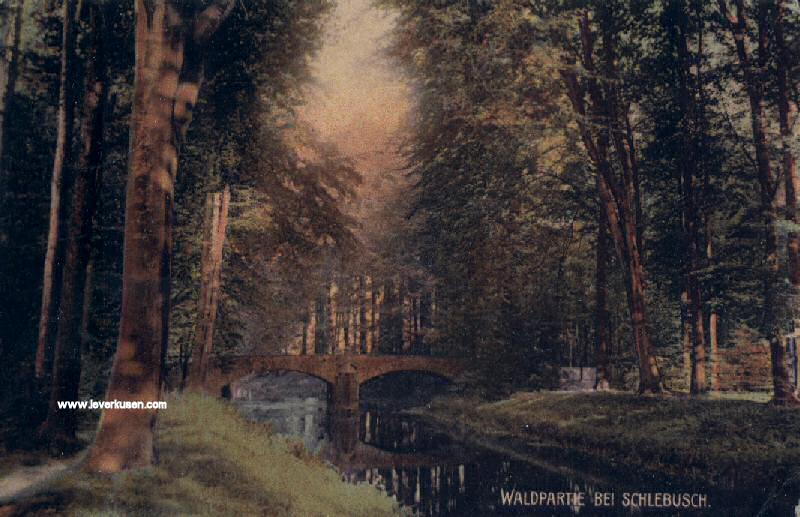 Postkarte, Dhünnbrücke bei Schlebusch (Morsbroich)